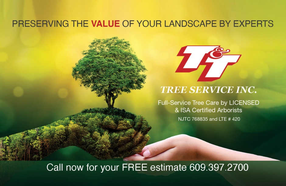 T & T Tree Service Inc.