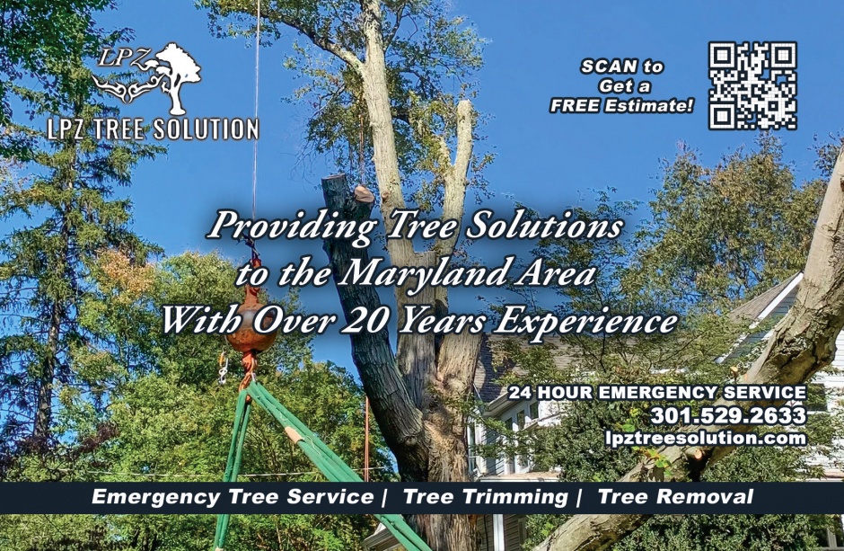 LPZ Tree Solutions