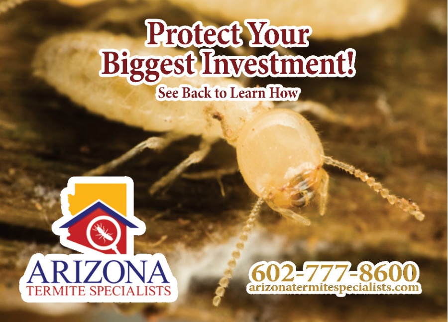 Arizona Termite Services