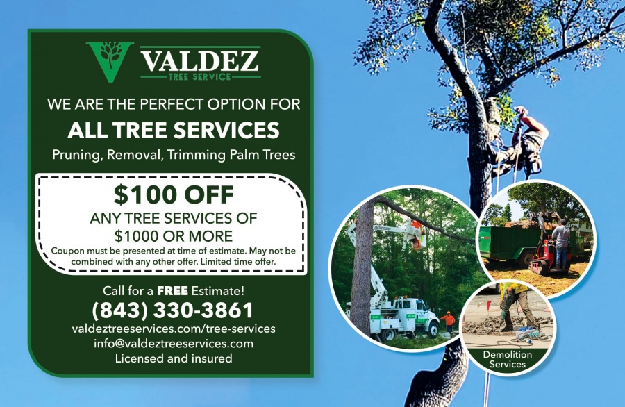 3 Best Tree Services in North Charleston, SC - Expert Recommendations