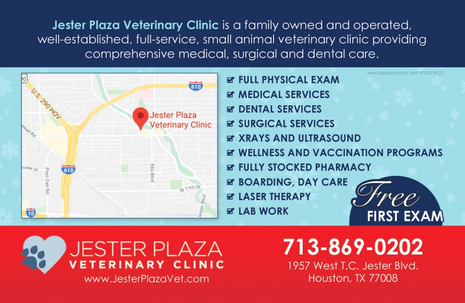 Jester Plaza Vet Clinic
