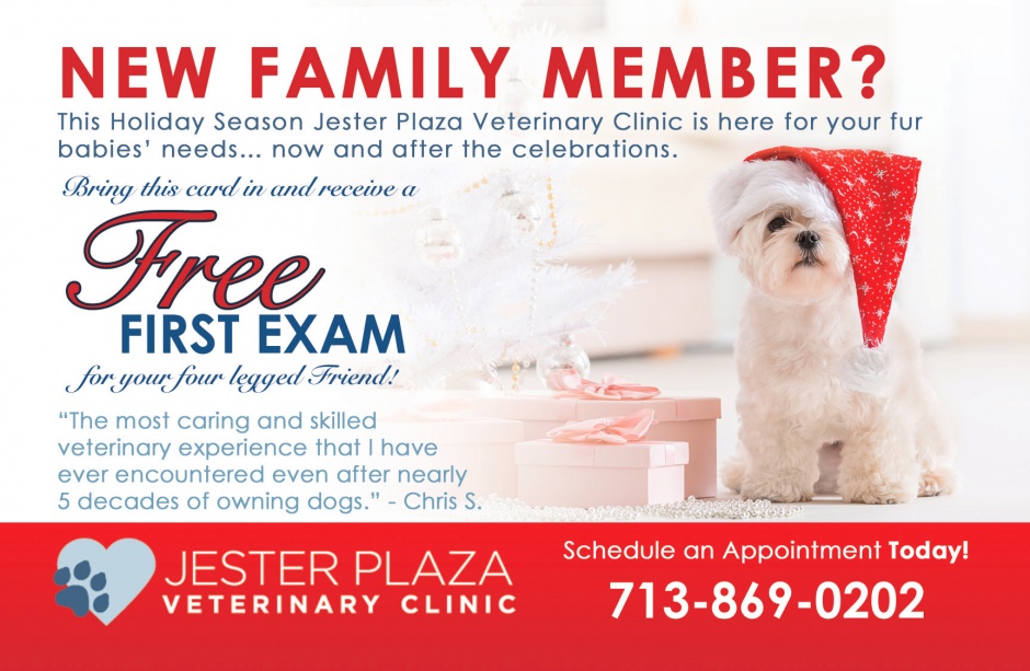 Jester Plaza Vet Clinic