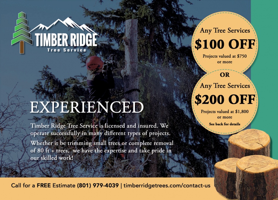 Timber Ridge Tree Service