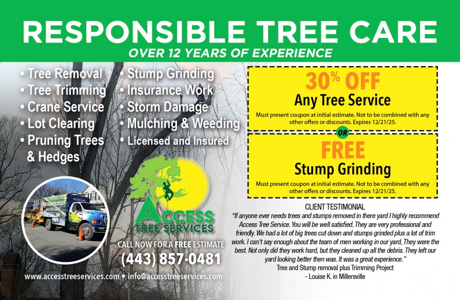 Access Tree Services