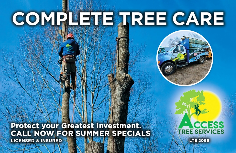 Access Tree Services