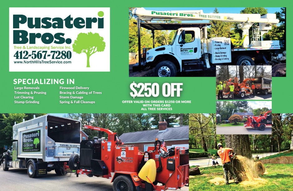 Pusateri Brothers Tree & Landscaping Services
