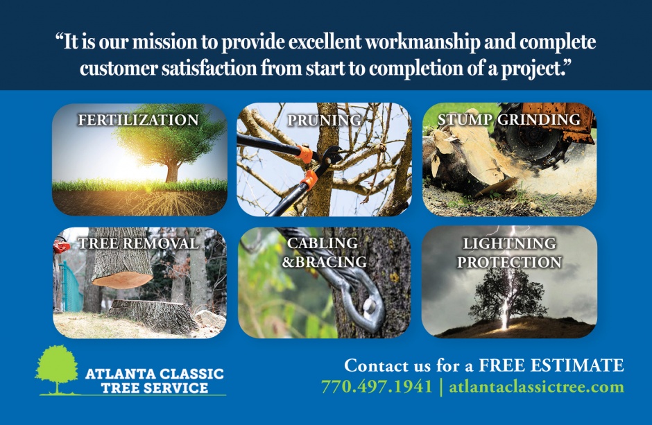 Atlanta Classic Tree Service