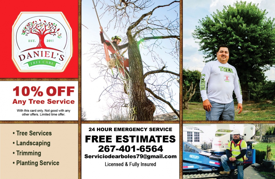 Daniel's Tree and Landscaping 