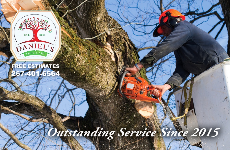 Daniel's Tree and Landscaping 