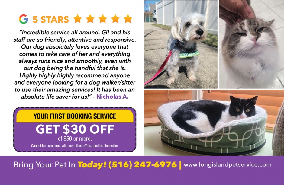 Long Island Pet Service Long Island Pet Service