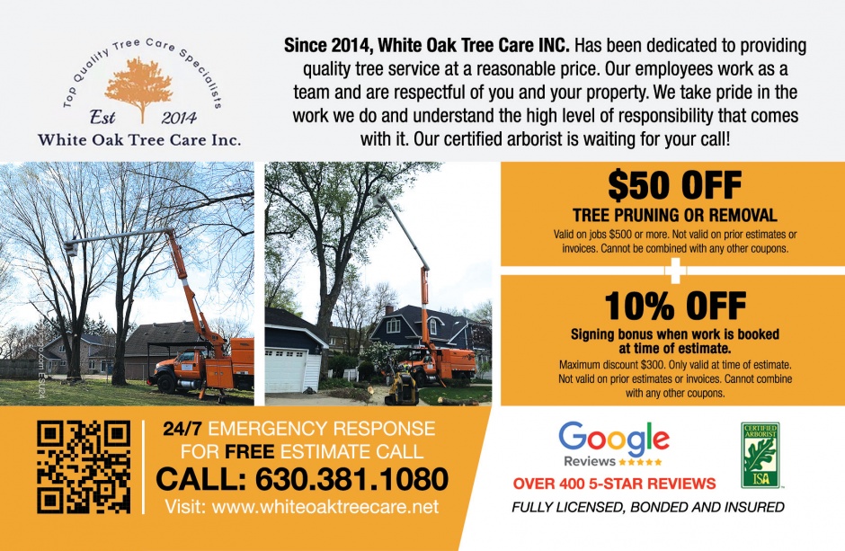 White Oak Tree Care White Oak Tree Care