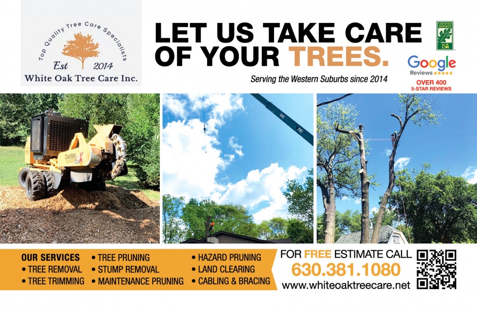 White Oak Tree Care White Oak Tree Care