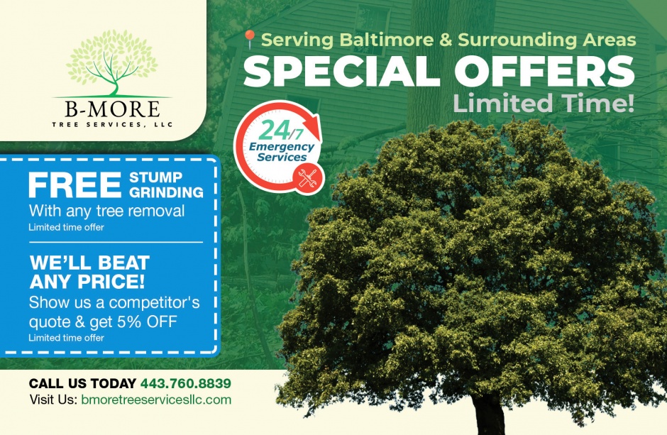 B-MoreTree Services B-MoreTree Services