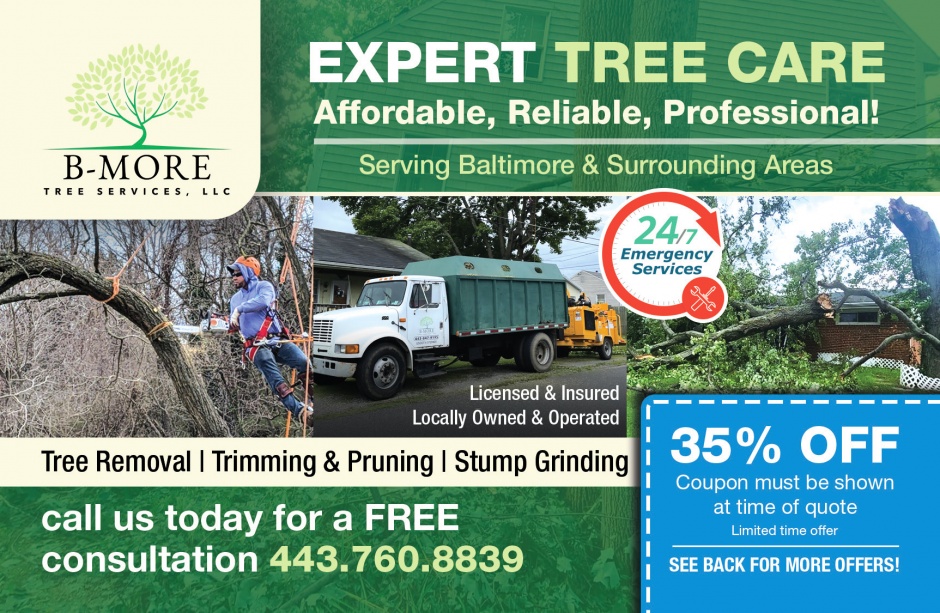 B-MoreTree Services B-MoreTree Services
