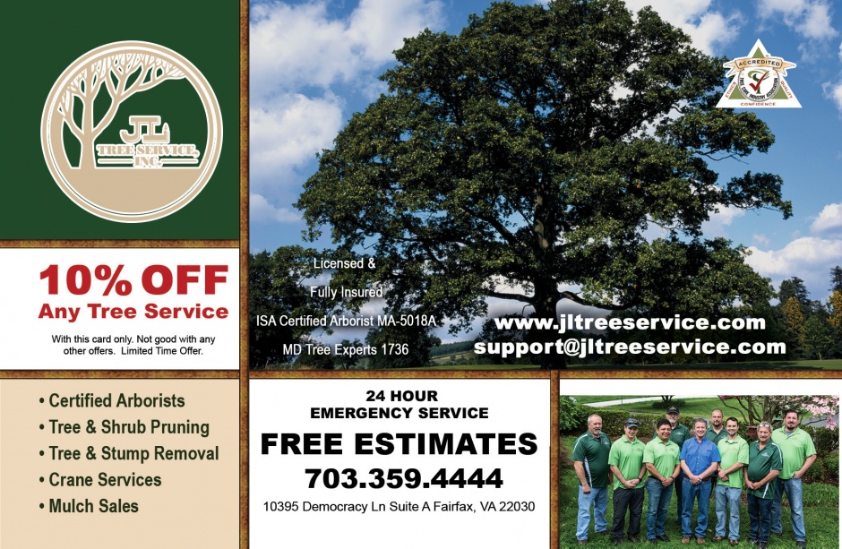 JL Tree Service JL Tree Service