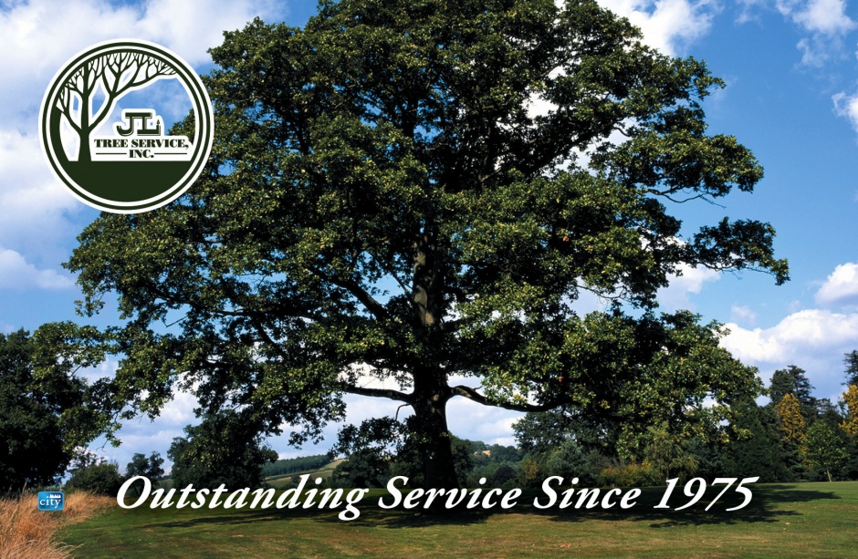 JL Tree Service JL Tree Service