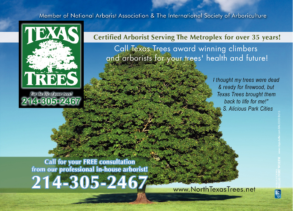 Keane Landscaping & Texas Trees