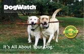 Dogwatch